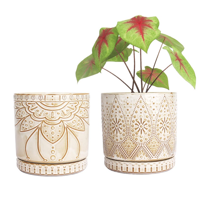 YFFSRJDJ 6 Inch Indoor Plant Pots with Drainage Holes and Saucers  Ceramic Planter for Plants  Flower Pot - Set of 2 - Image 1